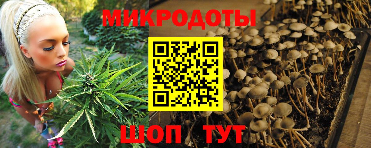 Псилоцибиновые грибы прущие грибы Минеральные Воды
